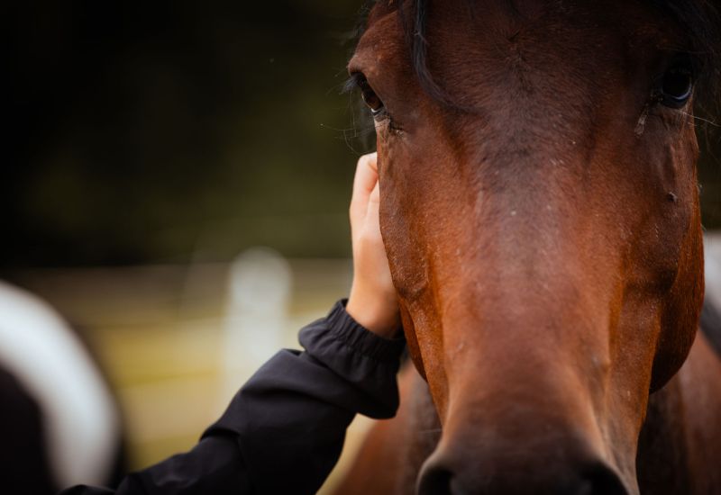 Gefühle im Mama-Alltag – warum sie uns oft überrollen und wie wir lernen können, gelassener zu bleiben